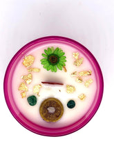 Load image into Gallery viewer, Money Magnet Candle – Abundance Intention Candle